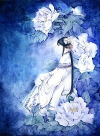 嫡女風華:一品庶妃
