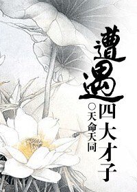 《遭遇四大才子》