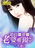 《寵妻一加一:老婆難做》