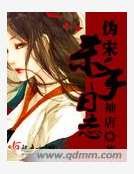 《偽宋殺手日誌》