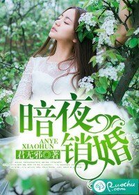 《暗夜銷婚》