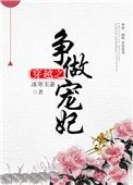 《穿越之爭做寵妃》