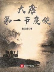 《大唐第一節度使》