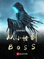 《從小怪到BOSS》