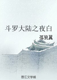 《(BL/斗羅大陸同人)斗羅大陸之夜白》
