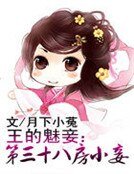 《王的魅妾:第三十八房小妾》