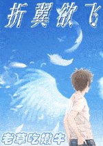 《折翼欲飛》