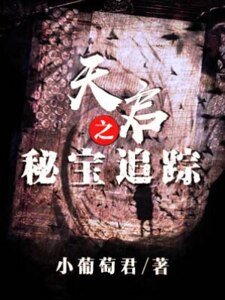 《天啓之秘寶追蹤》