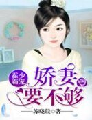 《霍少霸寵:嬌妻,要不夠》
