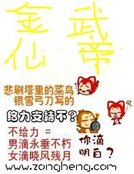 《金仙武帝》