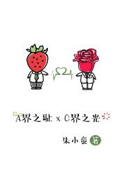 《A界之恥與O界之光》