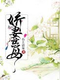 嬌妻慈母(重生)