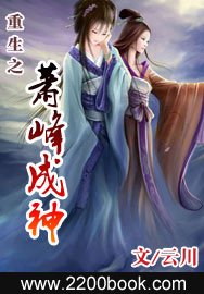 《重生之蕭峯成神》
