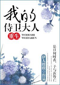 重生之我的侍衞大人/我的侍衞大人（重生）