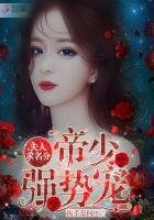 《帝少強勢寵:夫人,求名分》