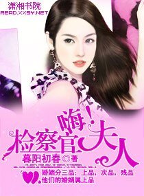 名門第一夫人/嗨，檢察官夫人