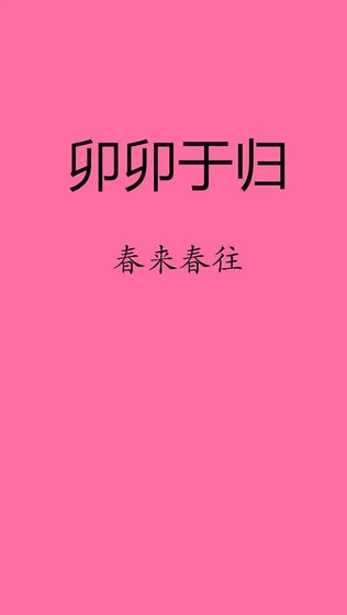 《卯卯于歸》