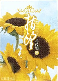 《指望》