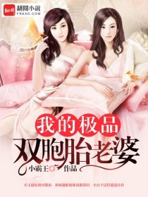 《我的極品雙胞胎老婆》