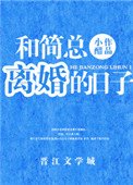 《和簡總離婚的日子》