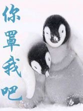 《你罩我吧》