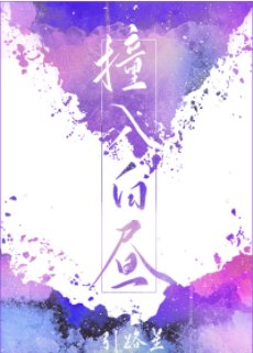 《撞入白晝》