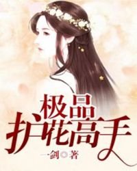 《極品護花高手》