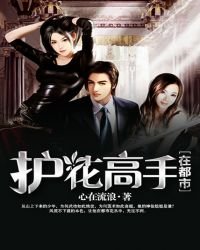 護花高手在都市