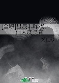 （BL/小説同人）[全職]星辰非昨夜，何人度良宵