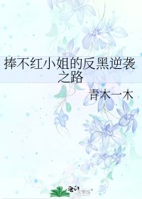 《捧不紅小姐的反黑逆襲之路》