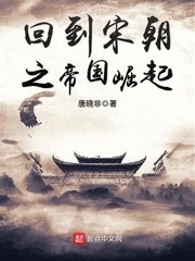 《回到宋朝之帝國崛起》