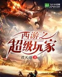 《西遊之超級玩家》