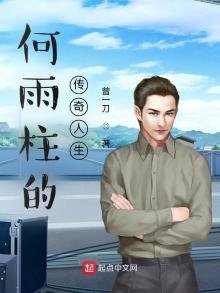 《何雨柱的傳奇人生》