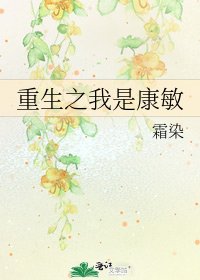 《重生之我是康敏》