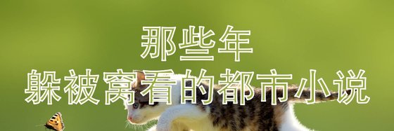 那些年躲被窩看的都市小說