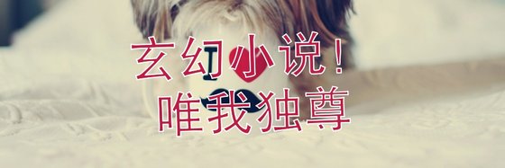 玄幻小說！唯我獨尊