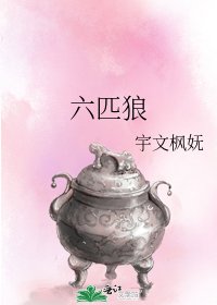 《六匹狼》