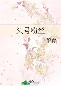 《頭號粉絲》