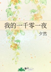《我的一千零一夜》