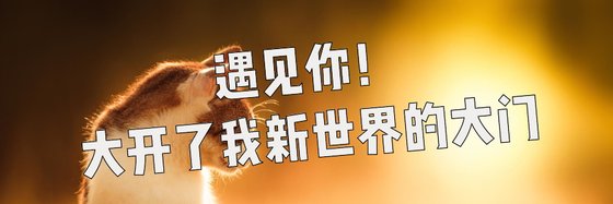 遇見你！大開了我新世界的大門