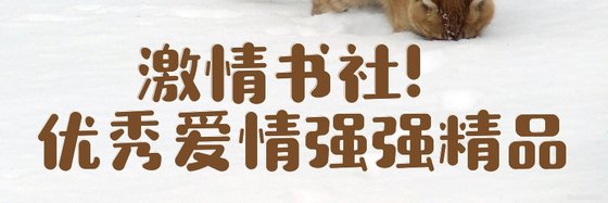 激情書社！優秀愛情強強精品