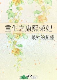《重生之康熙榮妃》