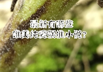 最新有哪些唯美純愛強推小說？
