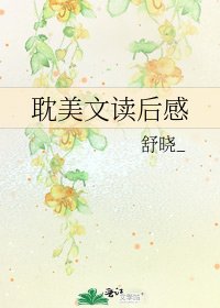 《耽美文讀後感》