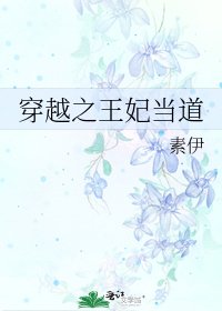 《穿越之王妃當道》