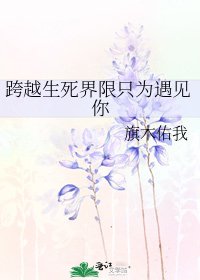 《跨越生死界限只為遇見你》