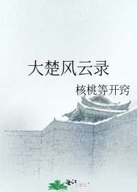《大楚風雲錄》