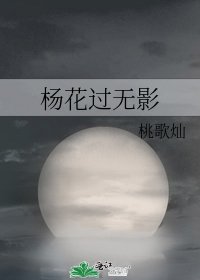 《楊花過無影》