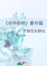 《亦壞亦帥》