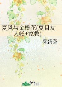 夏風與金橙花(夏目友人帳+家教)